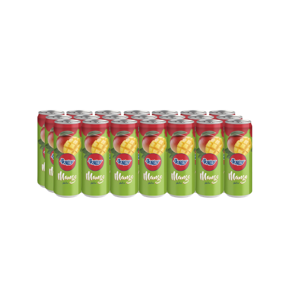 Rostoy Cannette MANGO 24 x 330ML