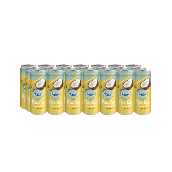 Rostoy Cannette PINA COCO 24 x 330ML